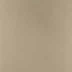Caracole Classic A Shimmer of Light Chest