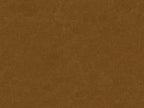 Continental Classics Tufted Upholstered Queen Panel Bed in Beeswax Brown